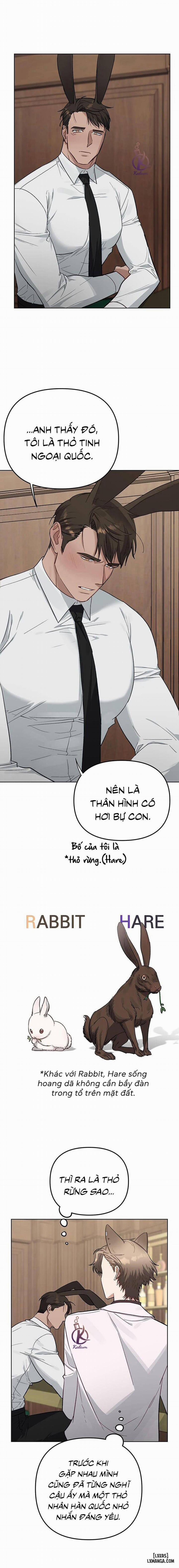 Thỏ 3 giây là bắn 2 trang 13