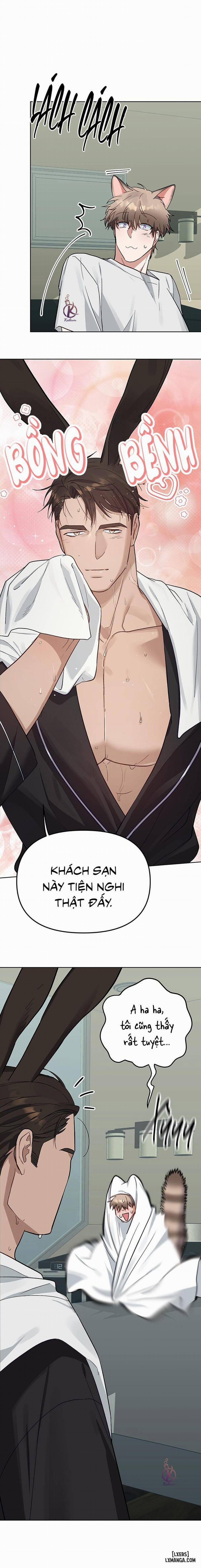 Thỏ 3 giây là bắn 3 trang 8