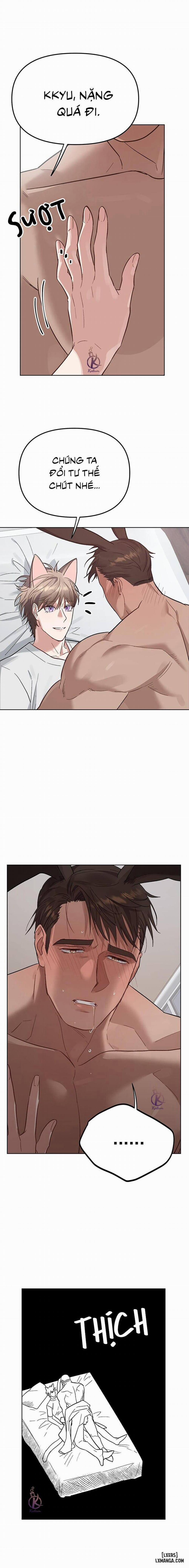 Thỏ 3 giây là bắn 4 trang 4