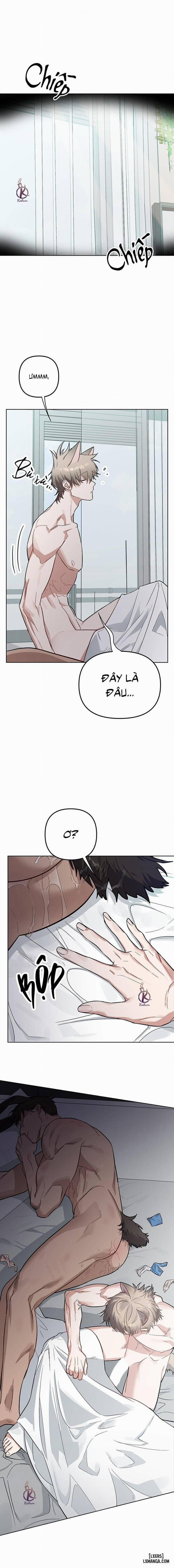 Thỏ 3 giây là bắn 5 trang 0