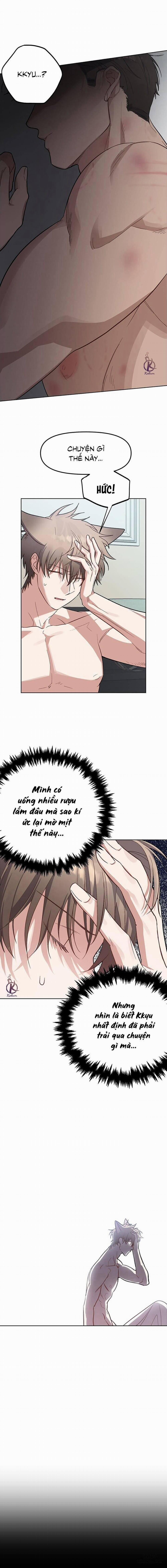 Thỏ 3 giây là bắn 5 trang 1