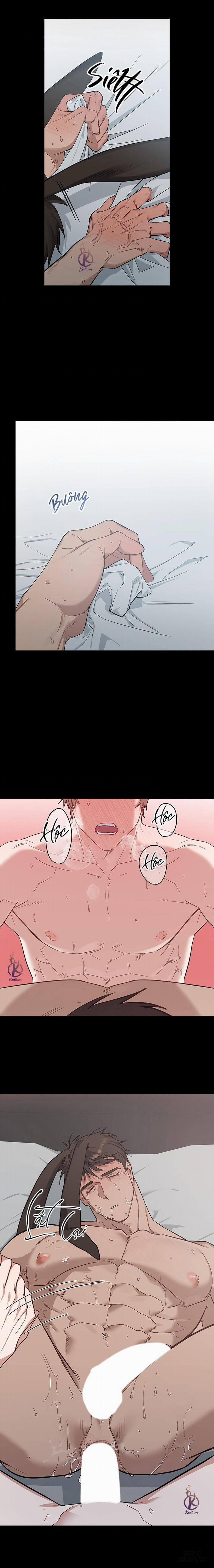 Thỏ 3 giây là bắn 5 trang 10