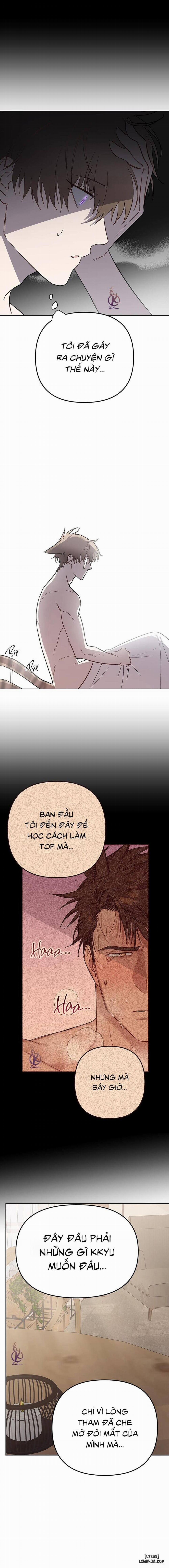 Thỏ 3 giây là bắn 5 trang 12