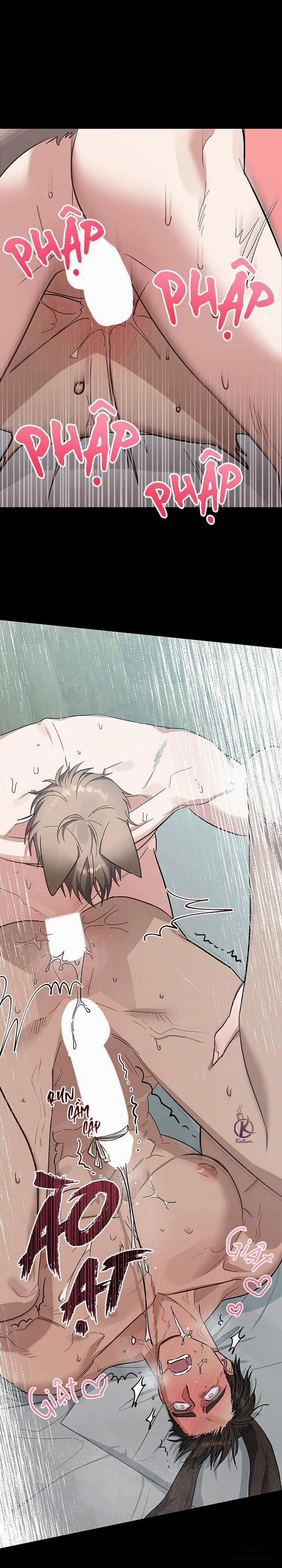 Thỏ 3 giây là bắn 5 trang 3