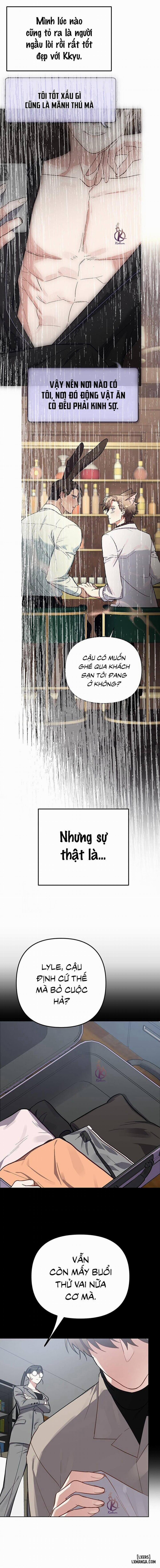 Thỏ 3 giây là bắn 6 trang 8