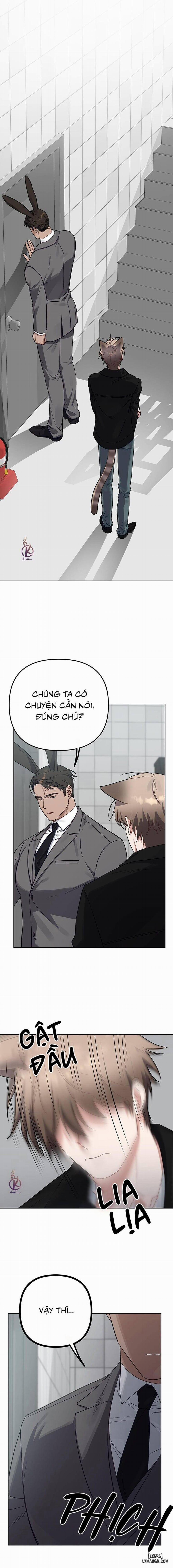 Thỏ 3 giây là bắn 7 trang 10