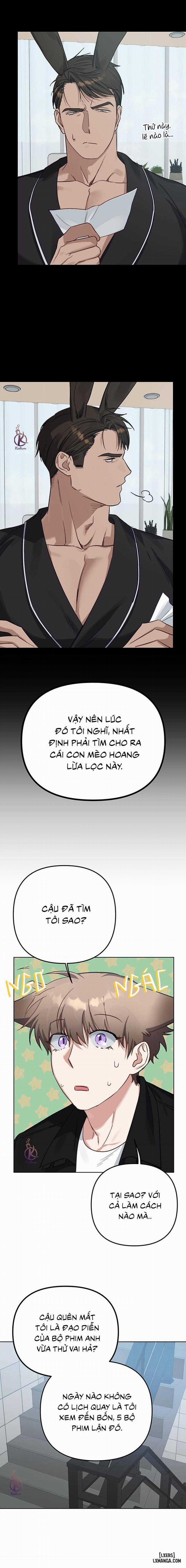 Thỏ 3 giây là bắn 7 trang 13