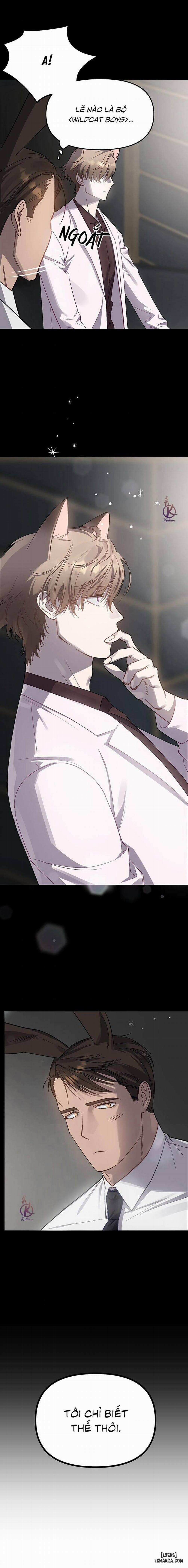 Thỏ 3 giây là bắn 7 trang 16