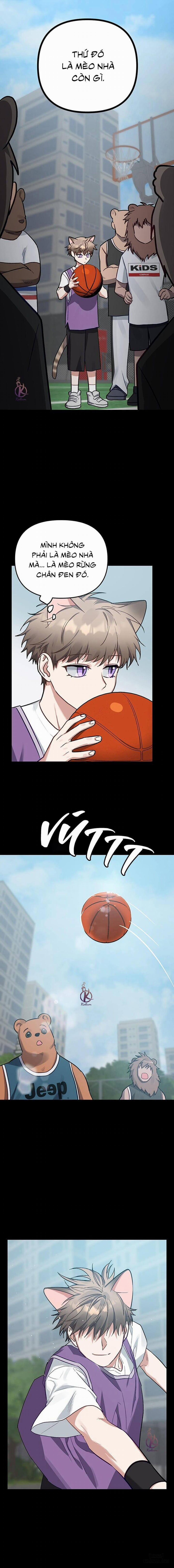 Thỏ 3 giây là bắn 7 trang 6