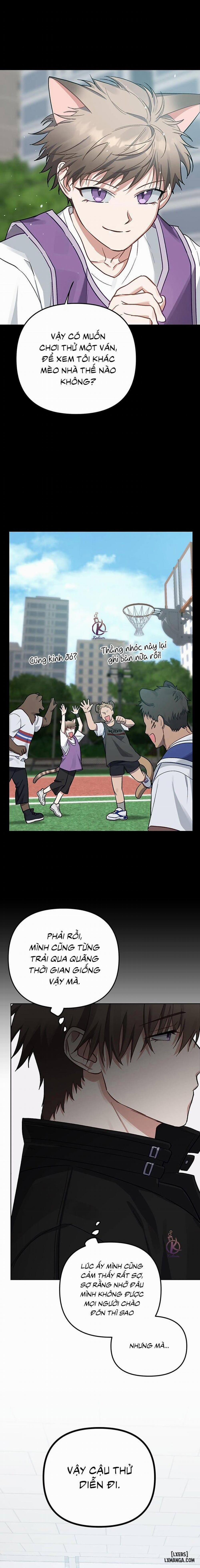 Thỏ 3 giây là bắn 7 trang 7