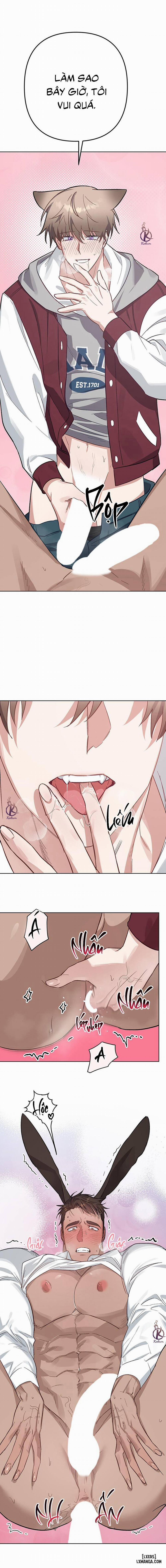 Thỏ 3 giây là bắn Ngoại truyện 4 0 Hết trang 15