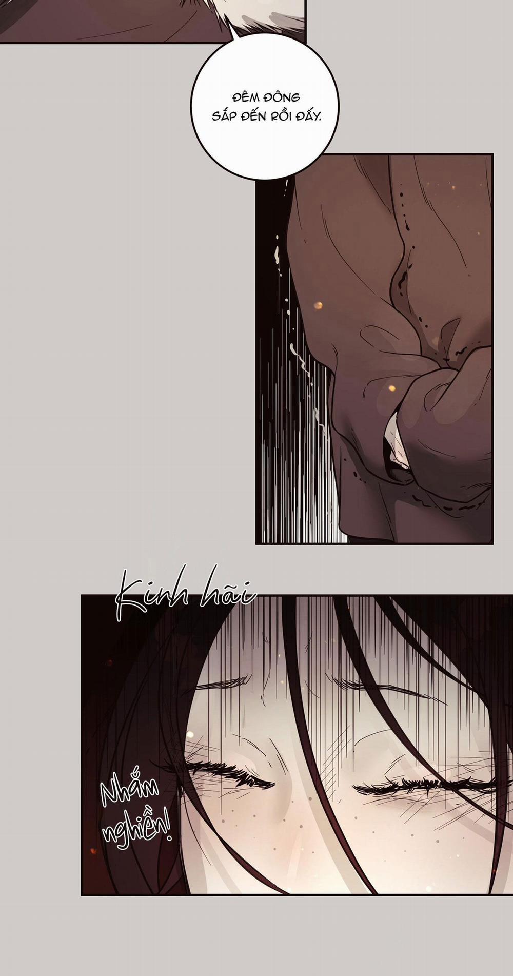 THỎ BẮC CỰC ROBBIE 1 trang 21