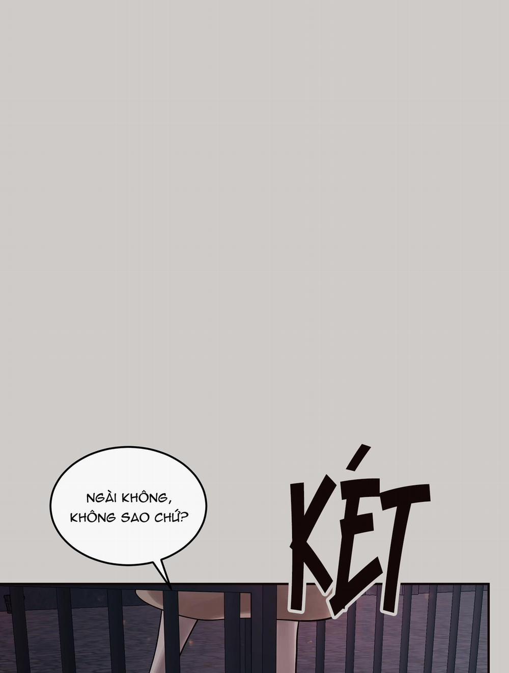 THỎ BẮC CỰC ROBBIE 7 NT3 trang 8