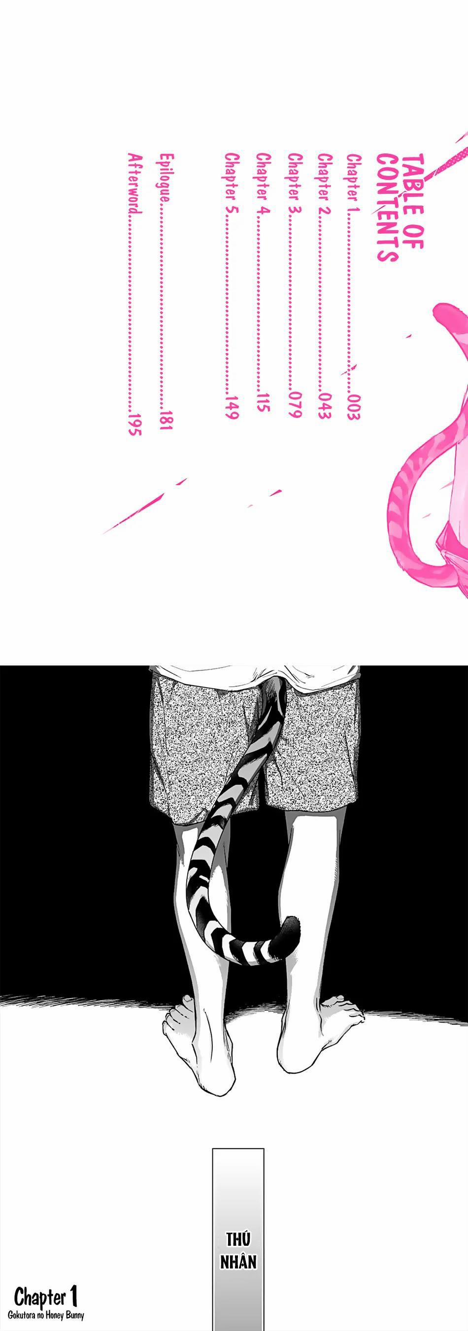 Thỏ cưng của Hổ siêu ngầu 1 trang 2