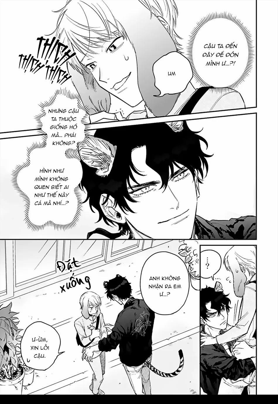 Thỏ cưng của Hổ siêu ngầu 2 trang 1