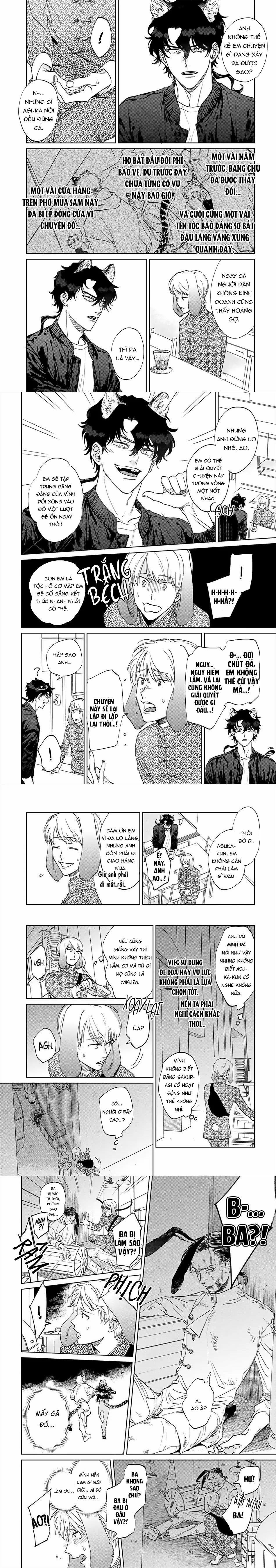 Thỏ cưng của Hổ siêu ngầu 3 trang 1