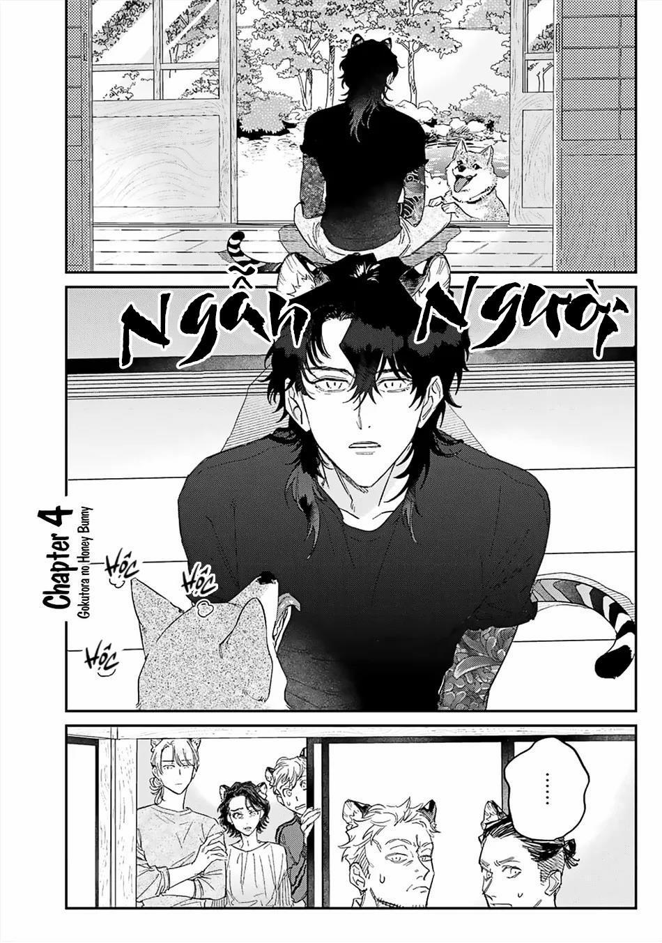 Thỏ cưng của Hổ siêu ngầu 4 trang 1