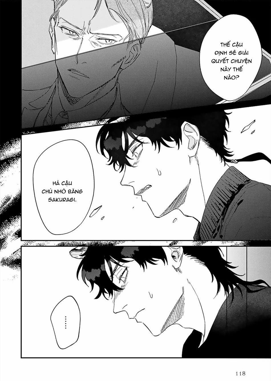 Thỏ cưng của Hổ siêu ngầu 4 trang 4