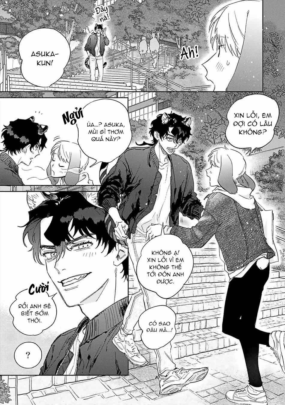 Thỏ cưng của Hổ siêu ngầu 5 trang 5