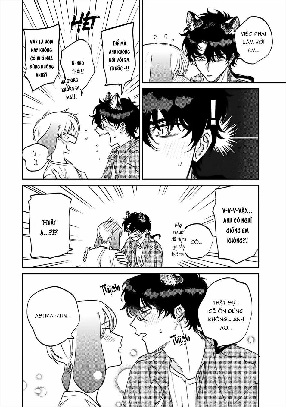 Thỏ cưng của Hổ siêu ngầu 6 trang 1