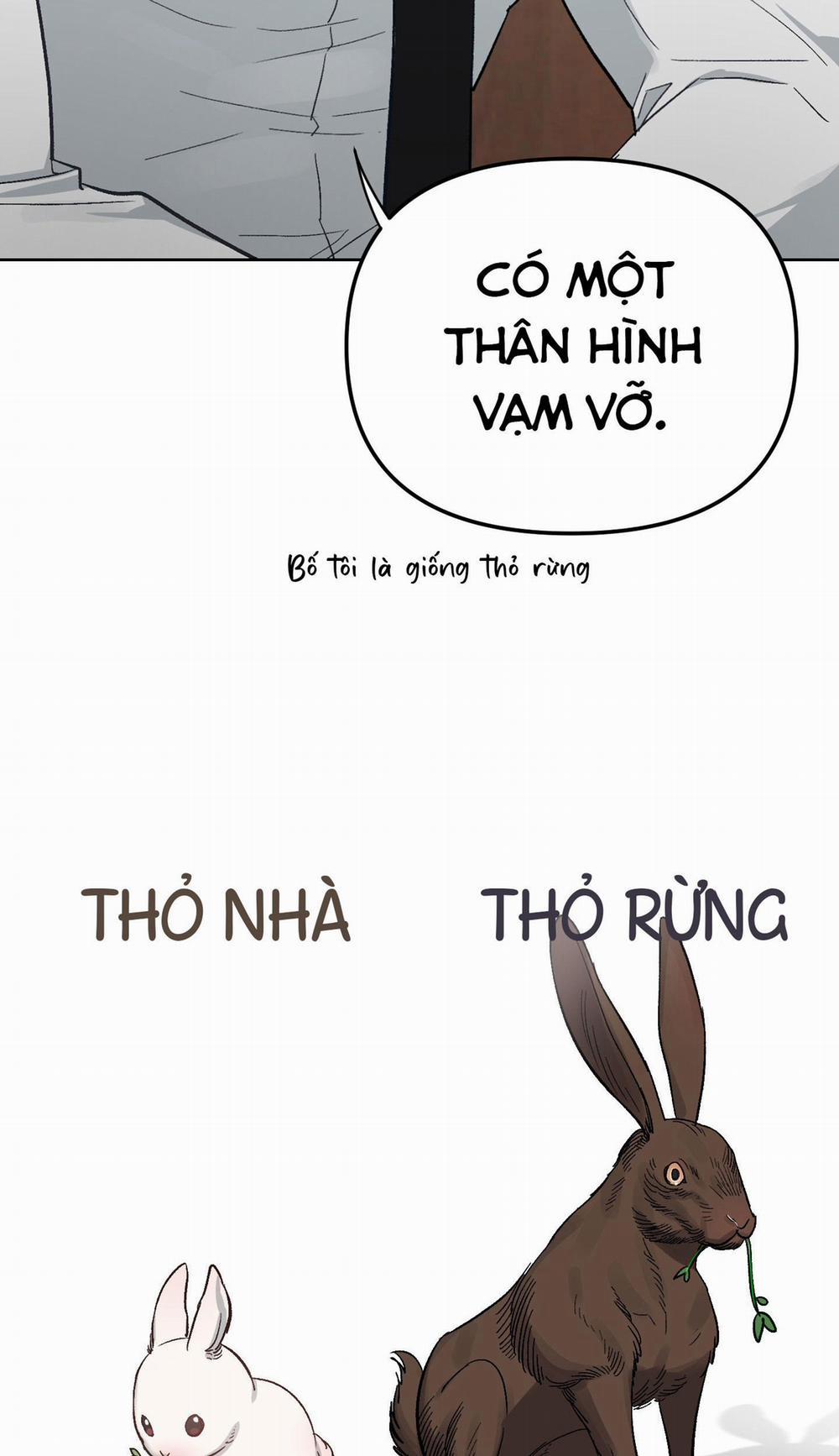 THỎ NHỎ XUẤT TINH TRONG 3 GIÂY (END) 2 trang 86