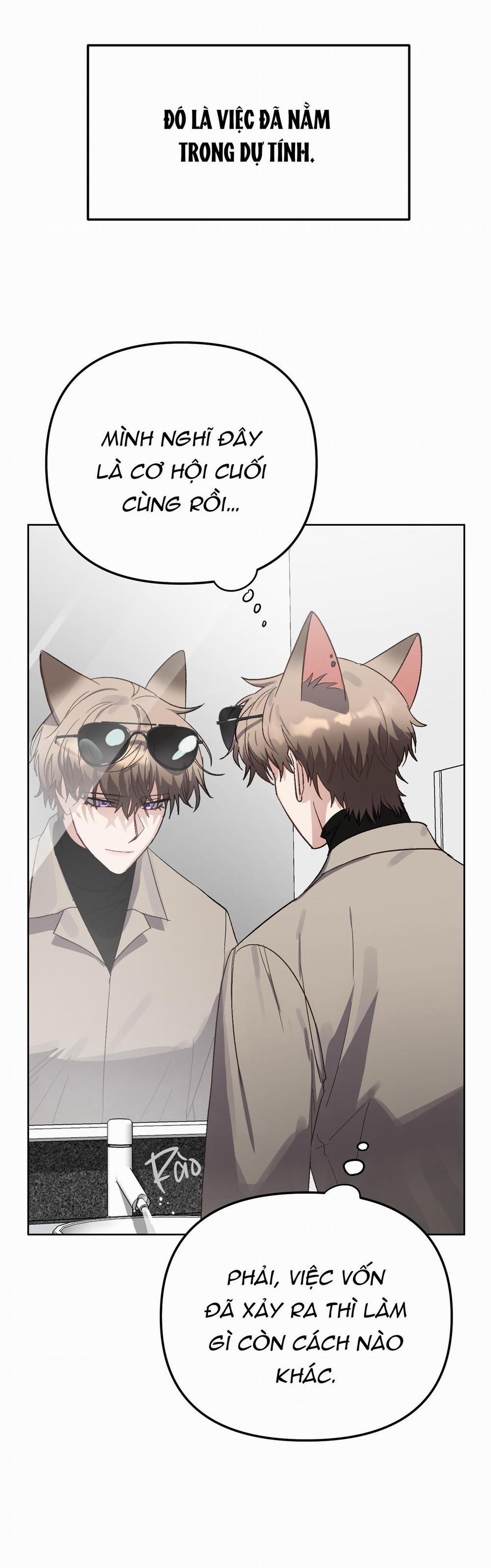 Thỏ Nhỏ Xuất Tinh Trong 3 Giây 1 trang 8