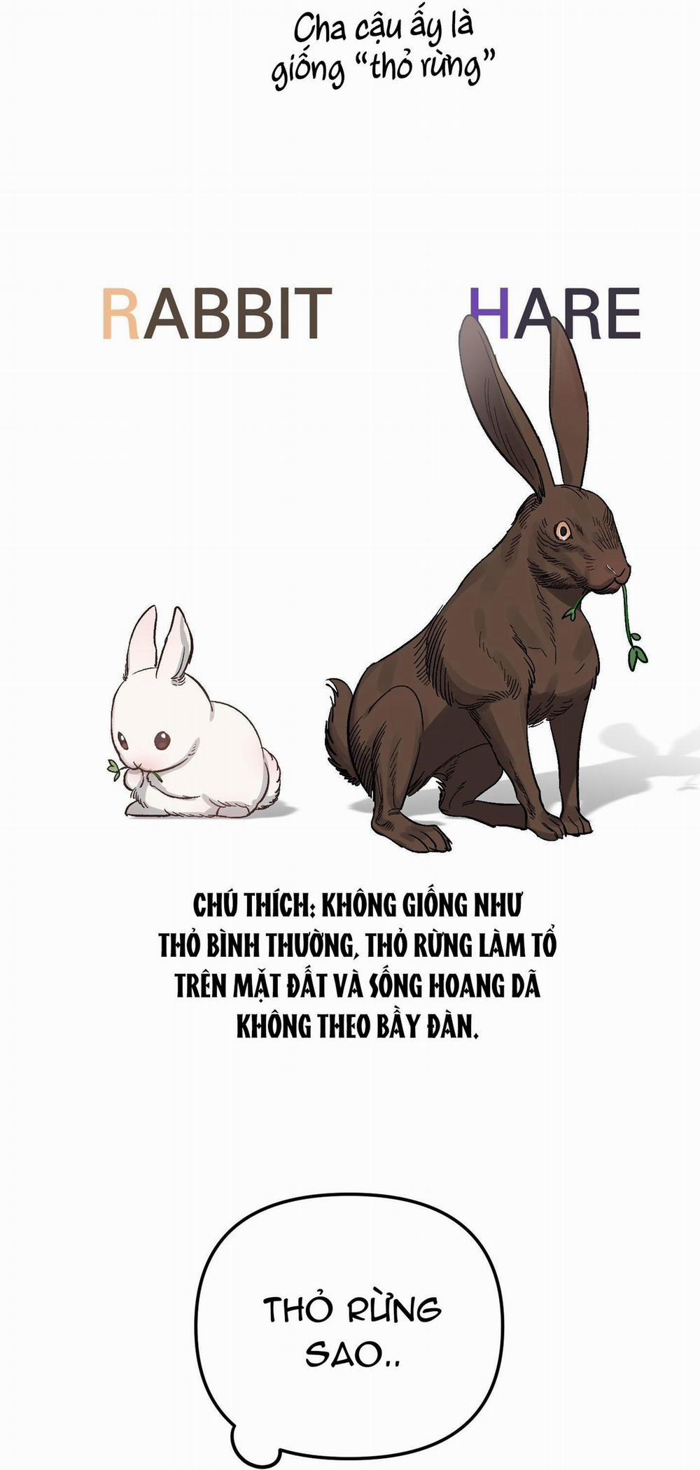 Thỏ Nhỏ Xuất Tinh Trong 3 Giây 2 trang 38