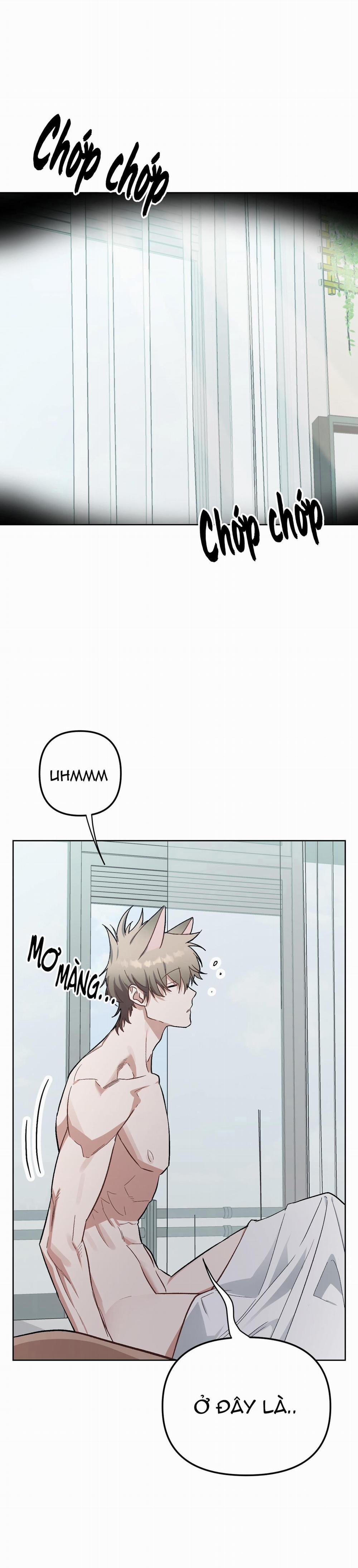 Thỏ Nhỏ Xuất Tinh Trong 3 Giây 5 trang 0