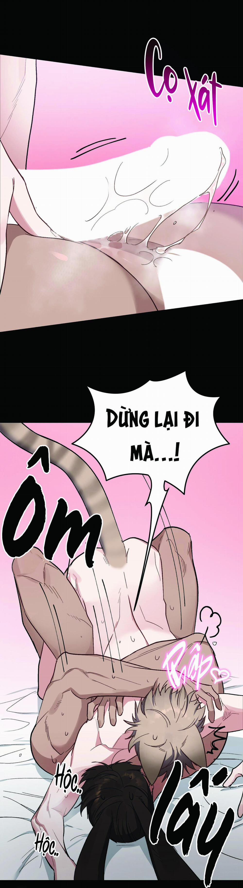 Thỏ Nhỏ Xuất Tinh Trong 3 Giây 5 trang 9