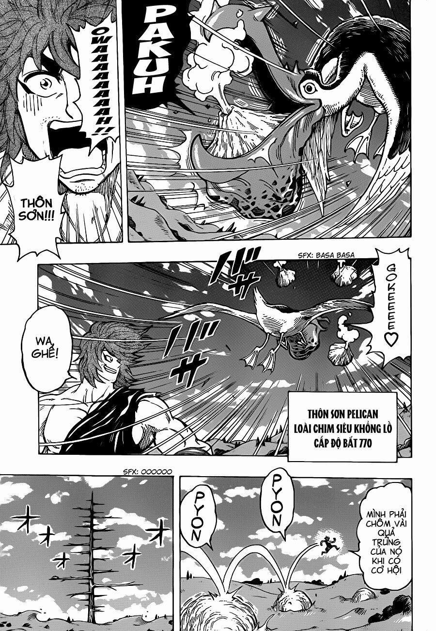 Thợ Săn Ẩm Thực 264 trang 9