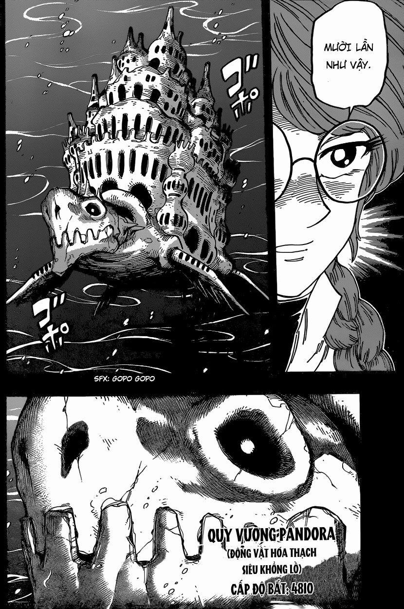 Thợ Săn Ẩm Thực 347 trang 13