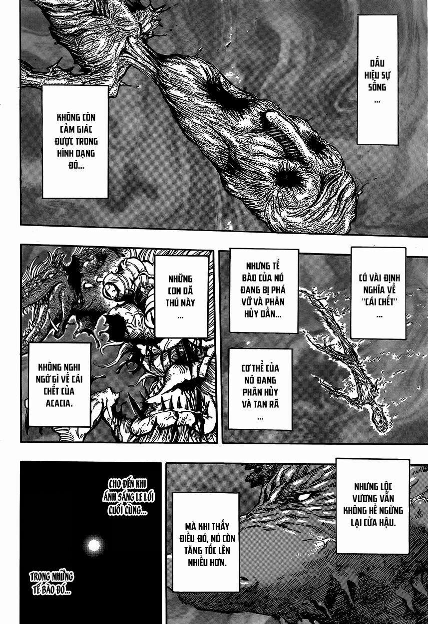 Thợ Săn Ẩm Thực 379 trang 14