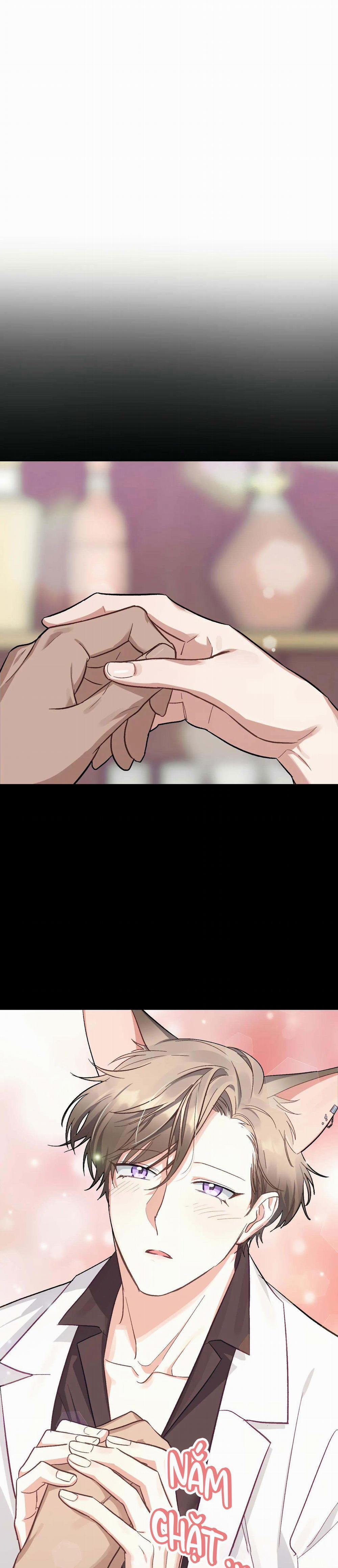 Thỏ Xuất Tinh Trong Vòng 3 Giây 3 trang 5