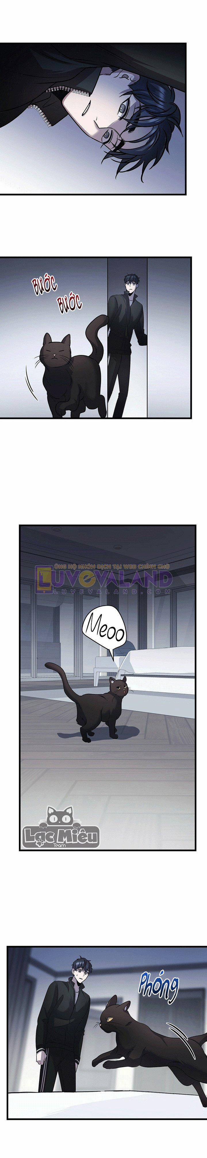 Thoát Khỏi Đau Thương 13 trang 11