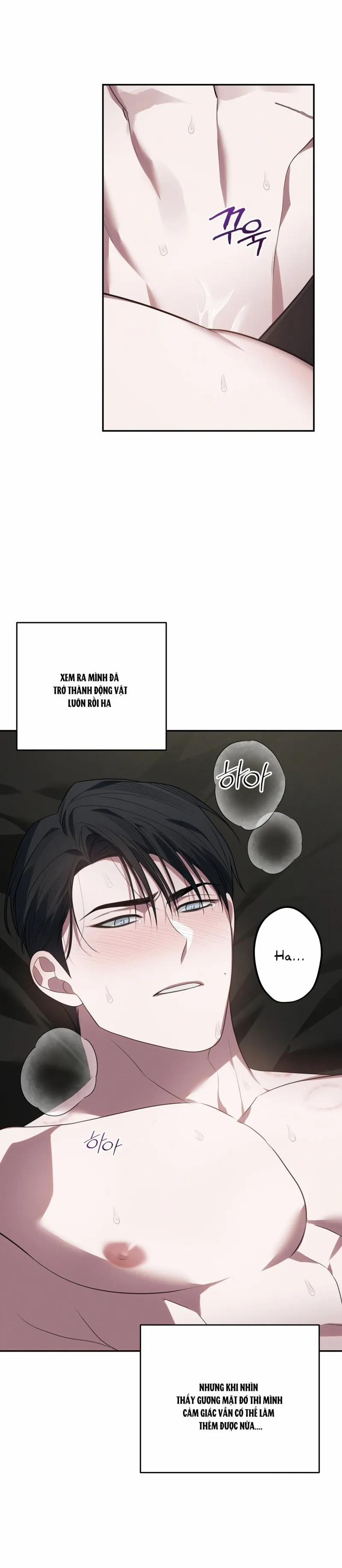 Thoát Xích 10 trang 15