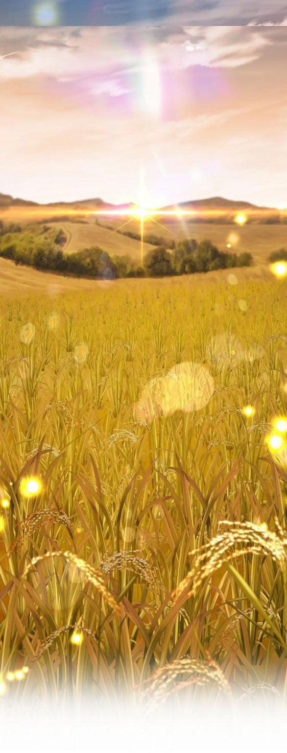 Thời Đại Của Oman 11.2 trang 24