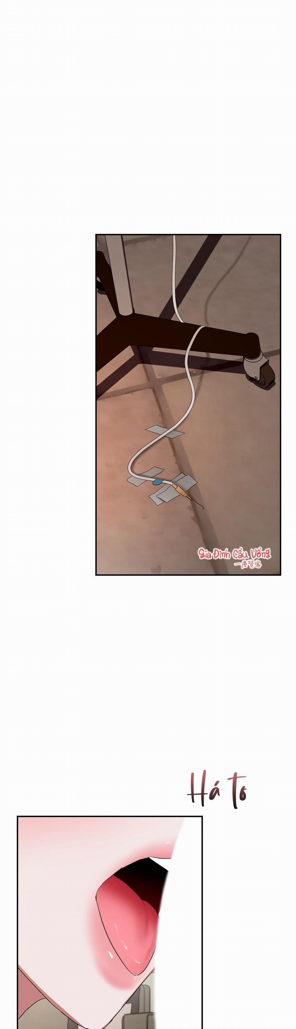 Thời Gian Hoàn Hảo Của Cô Tiểu Thư 11 trang 1