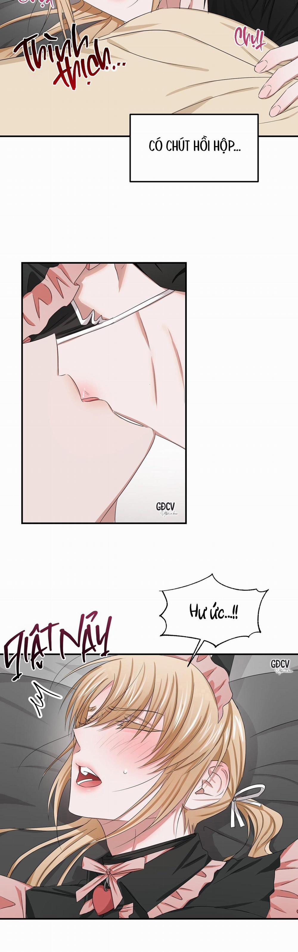 Thời Gian Hoàn Hảo Của Cô Tiểu Thư 17 trang 4