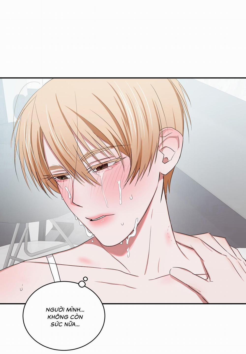 Thời Gian Hoàn Hảo Của Cô Tiểu Thư 5 trang 0