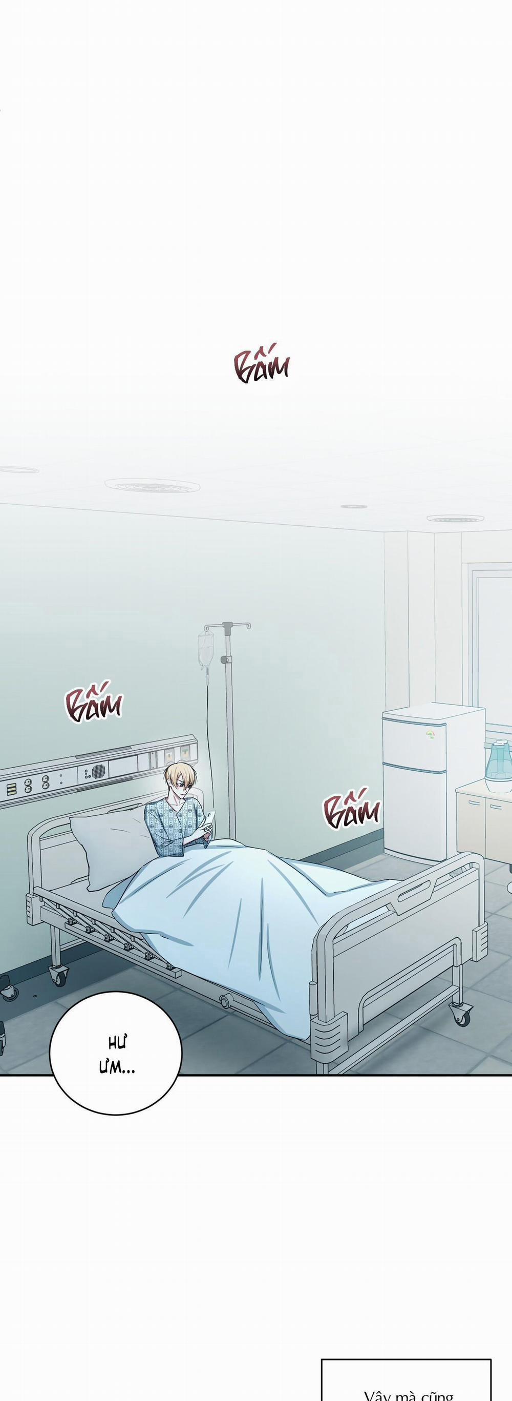 Thời Gian Hoàn Hảo Của Cô Tiểu Thư 9 trang 0