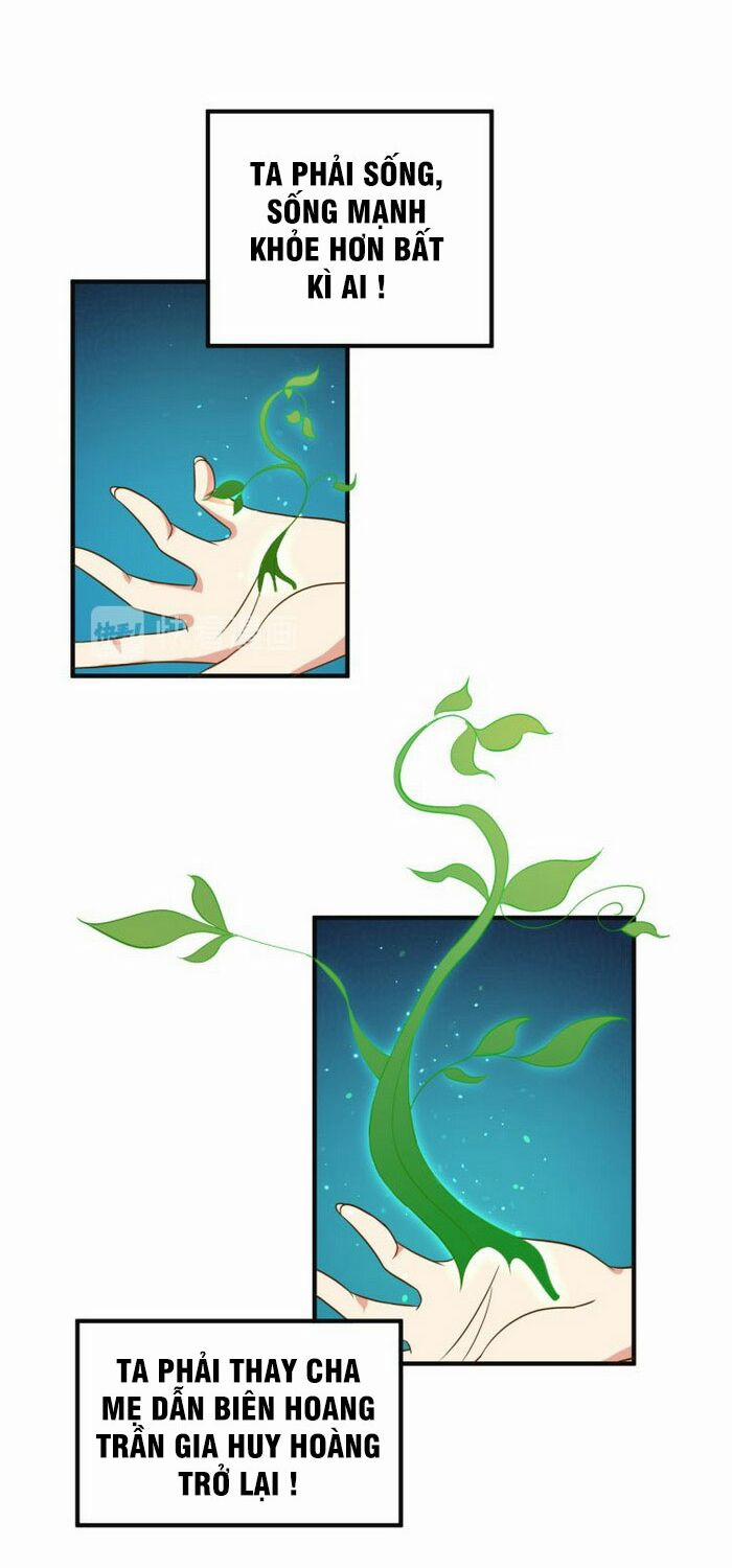 Thôn Phệ Một Thế Giới Tu Tiên 81 trang 13