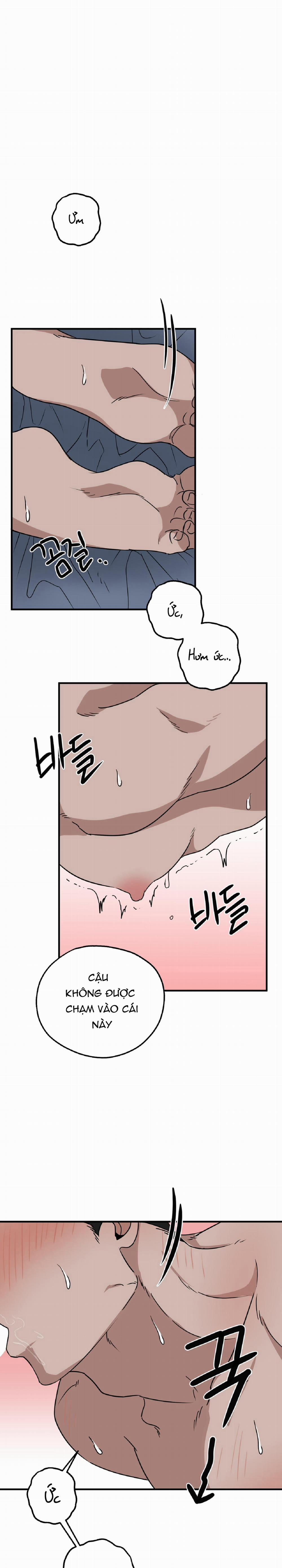 Thống Trị Với Thống Khổ 5 trang 0