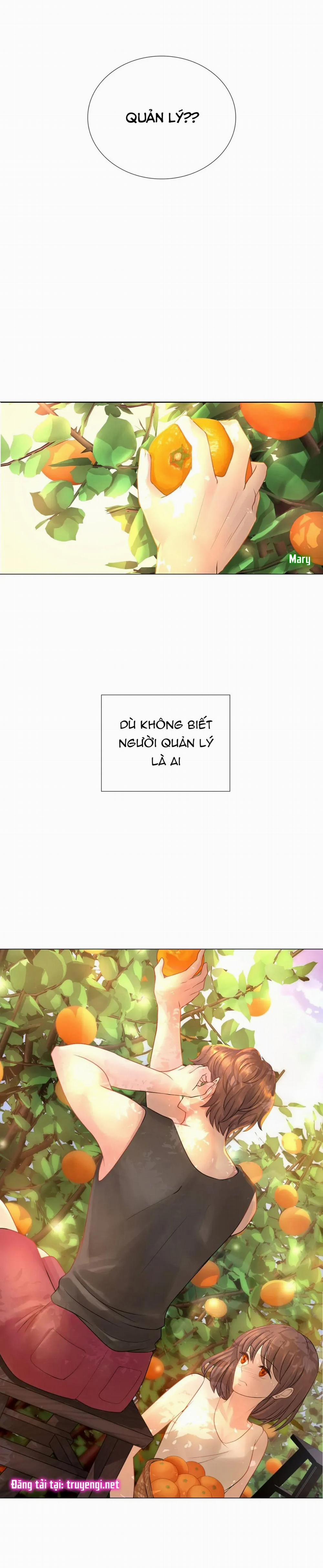 Threesome 4 trang 33