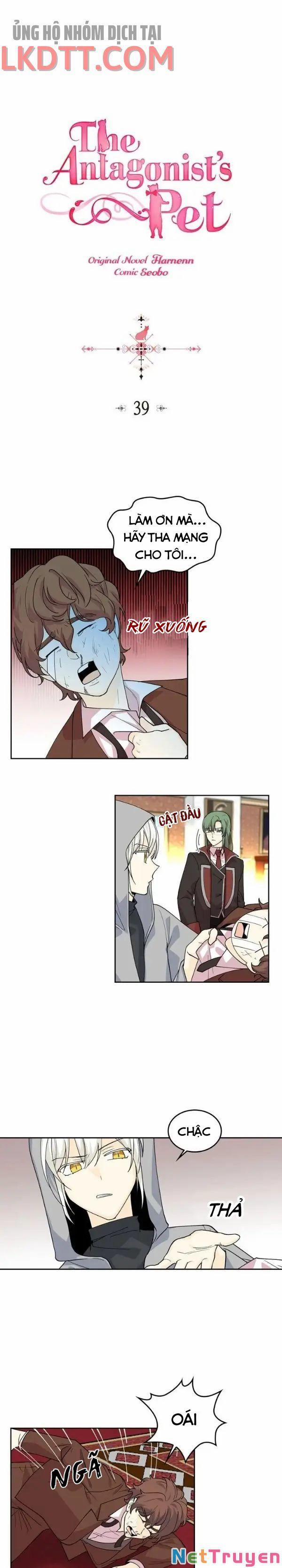 Thú Cưng Của Nữ Phụ Độc Ác 39 trang 0