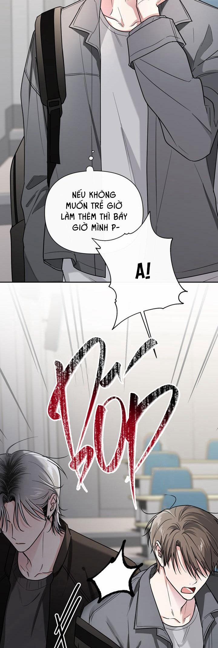 Thú Cưng Damdang 0 PREVIEW trang 24