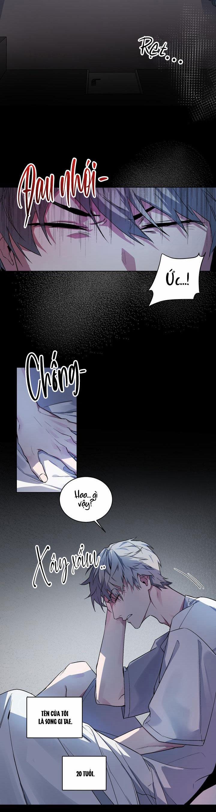 Thú Cưng Damdang 1.1 CĂN PHÒNG 1 trang 2