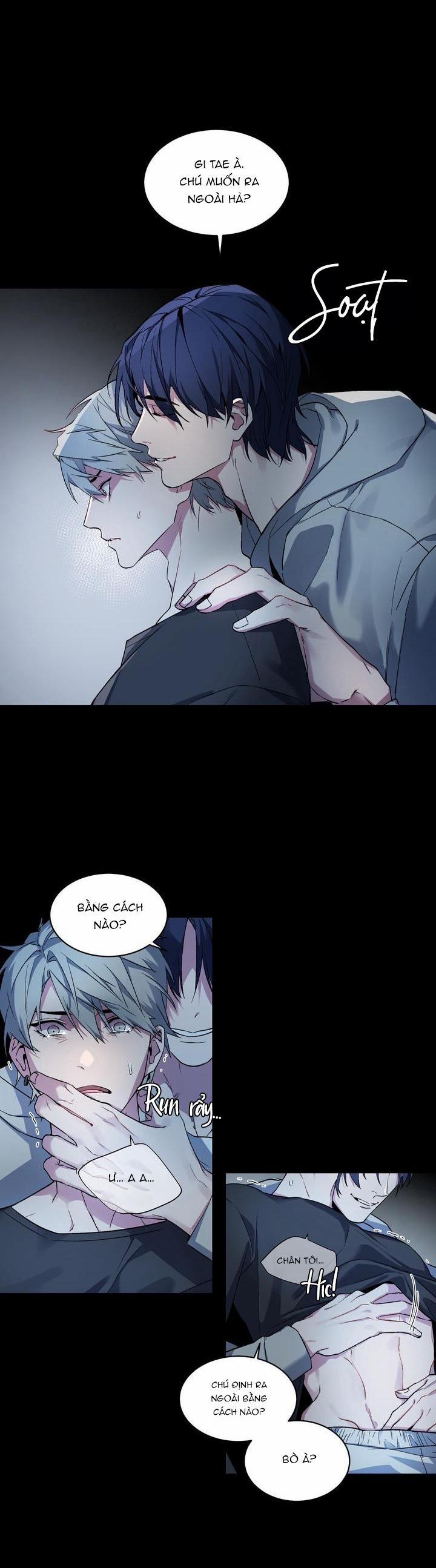 Thú Cưng Damdang 1.2 CỬA SỔ 2 trang 5