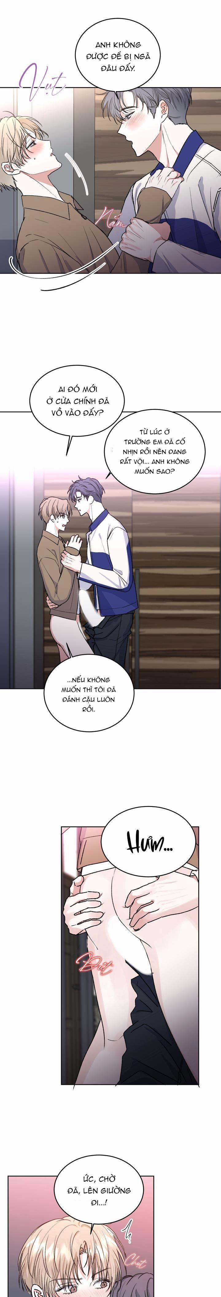 Thú Cưng Damdang 2.3 BẢO HỘ 3 trang 13