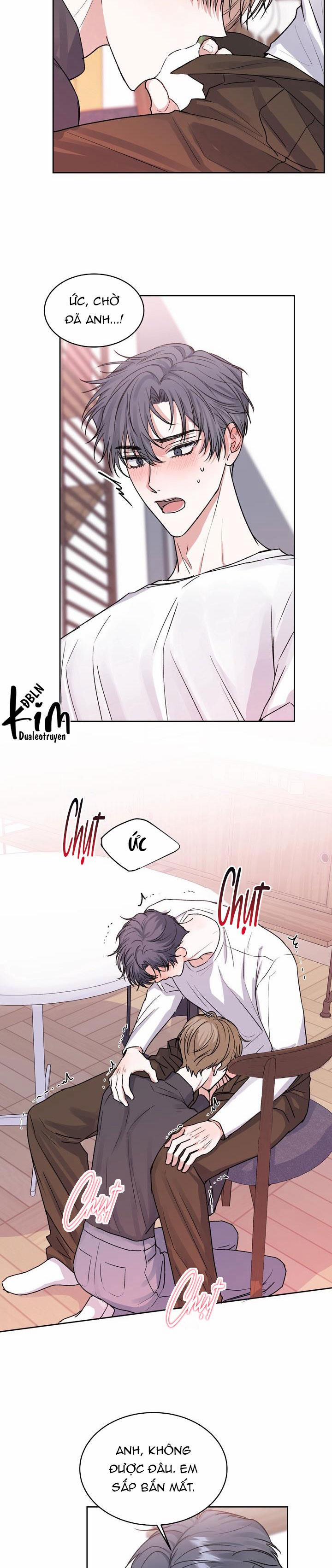 Thú Cưng Damdang 2.5 BẢO HỘ 5 trang 13