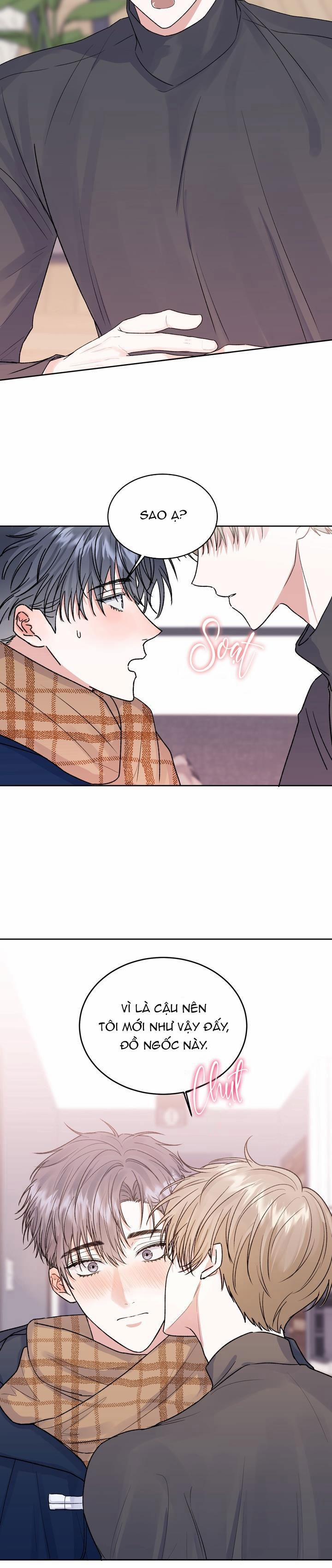 Thú Cưng Damdang 2.5 BẢO HỘ 5 trang 8